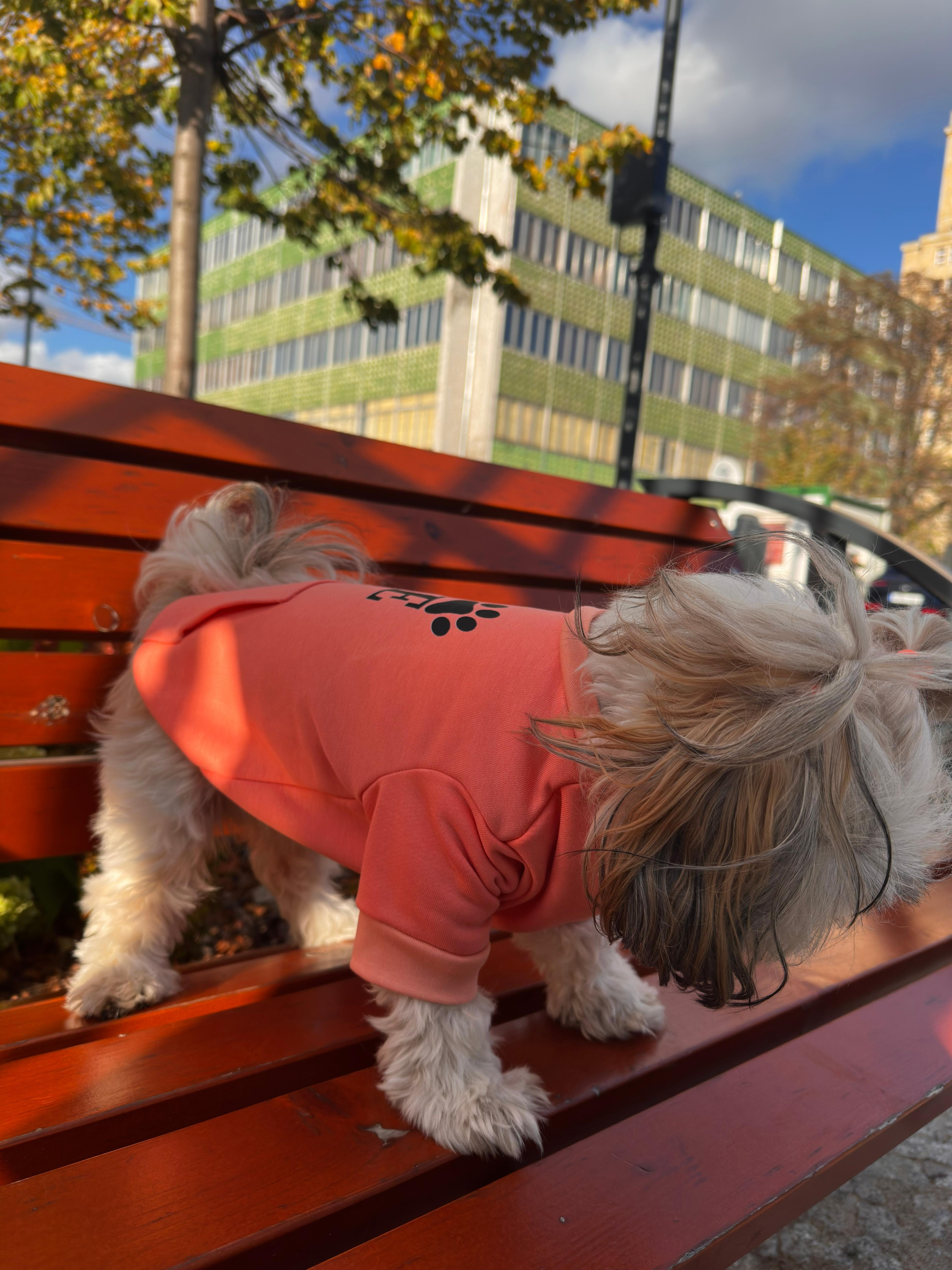 Bluza z z kieszenią LOVE