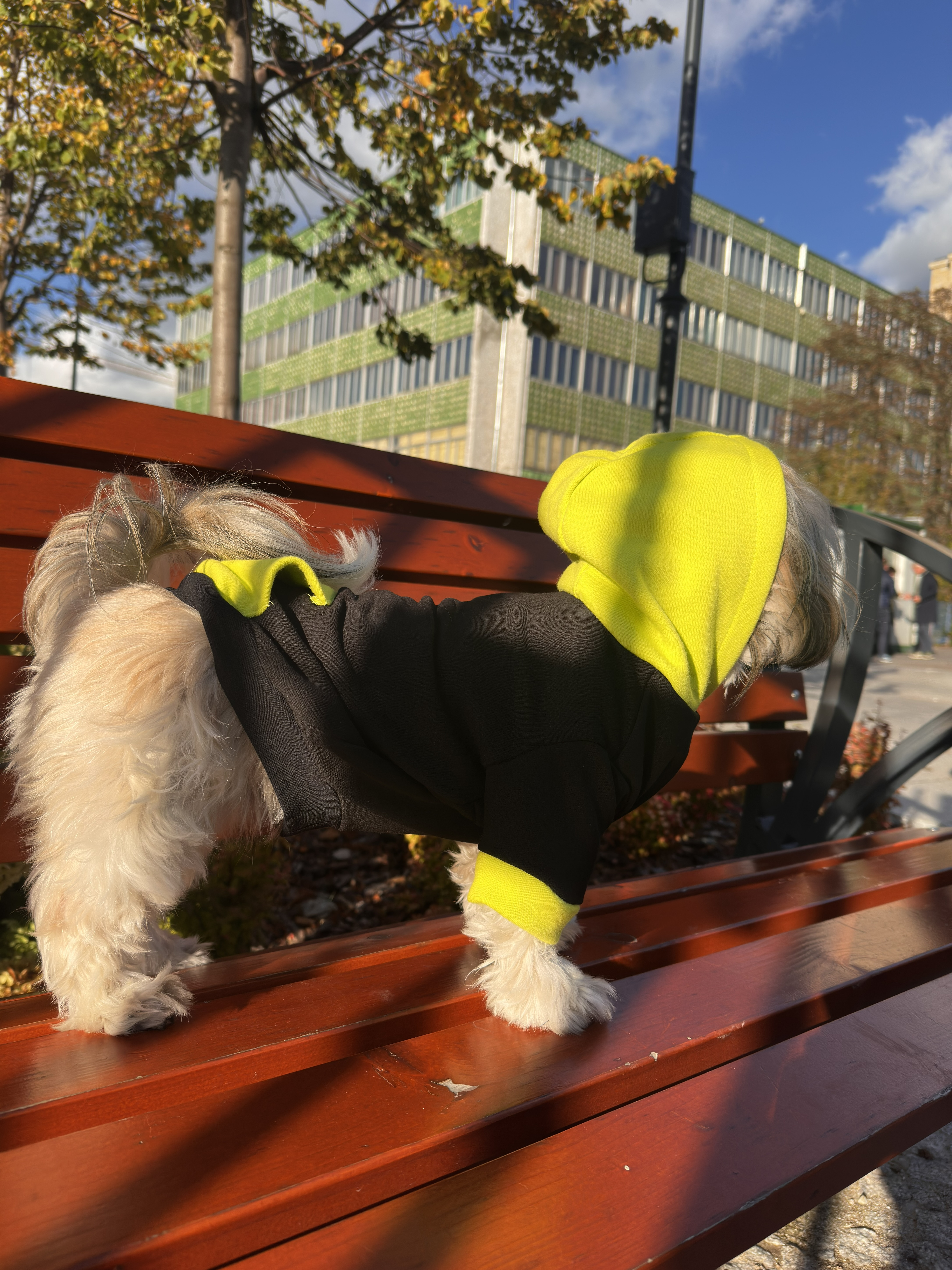 Bluza z kapturem miniatura 3