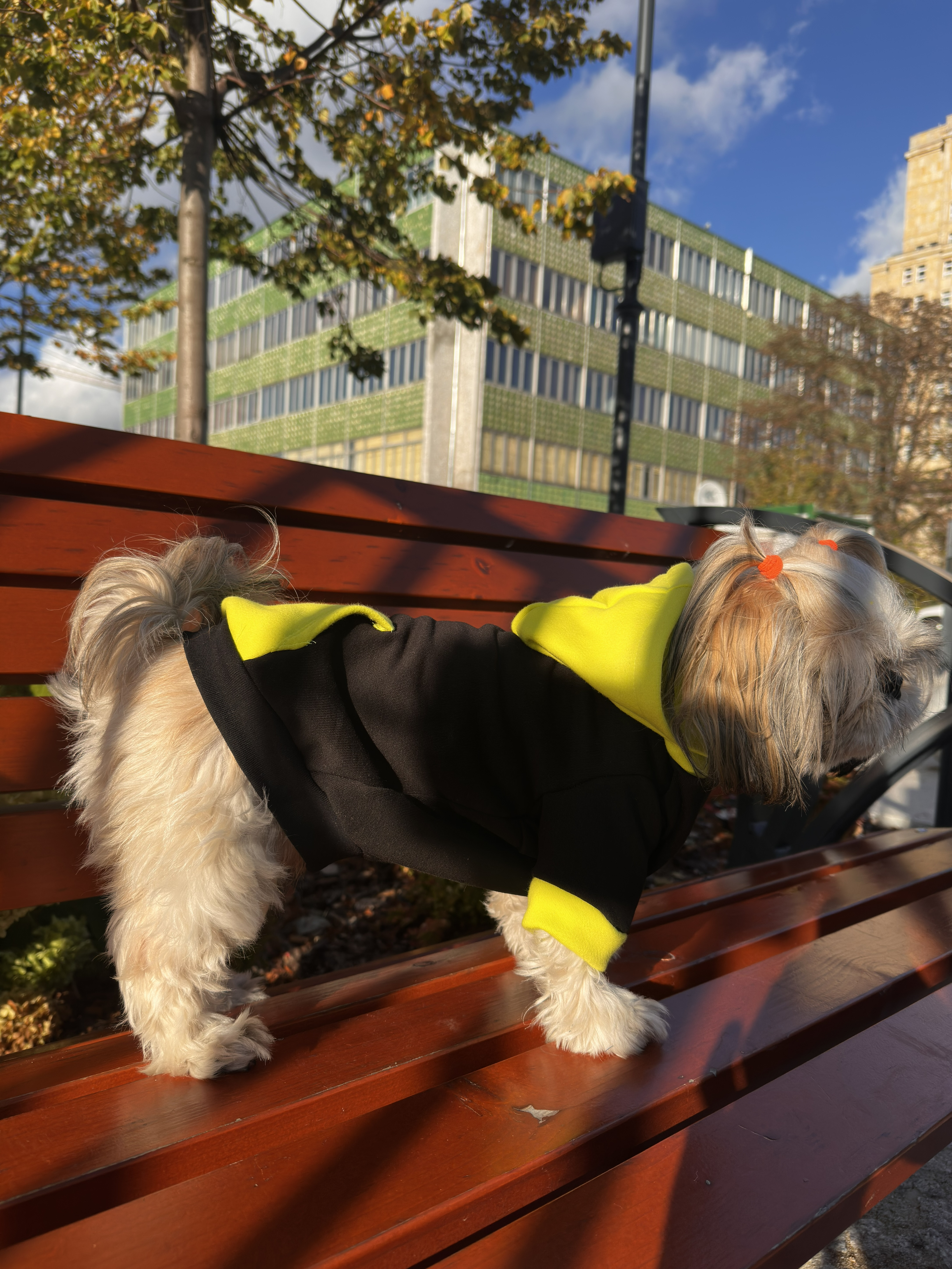 Bluza z kapturem miniatura 4