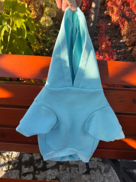 Bluza z kapturem