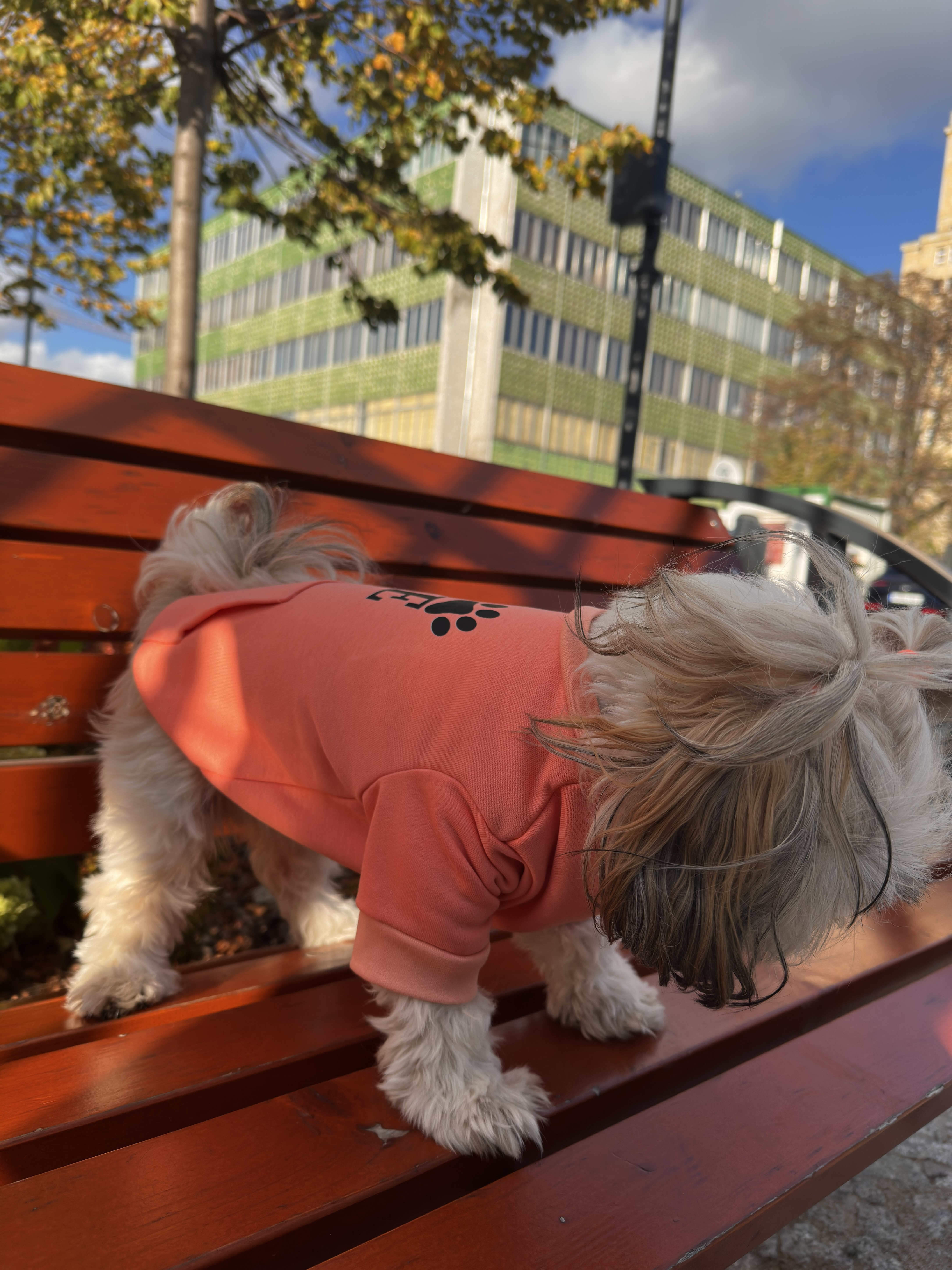 Bluza z kieszenia miniatura 3