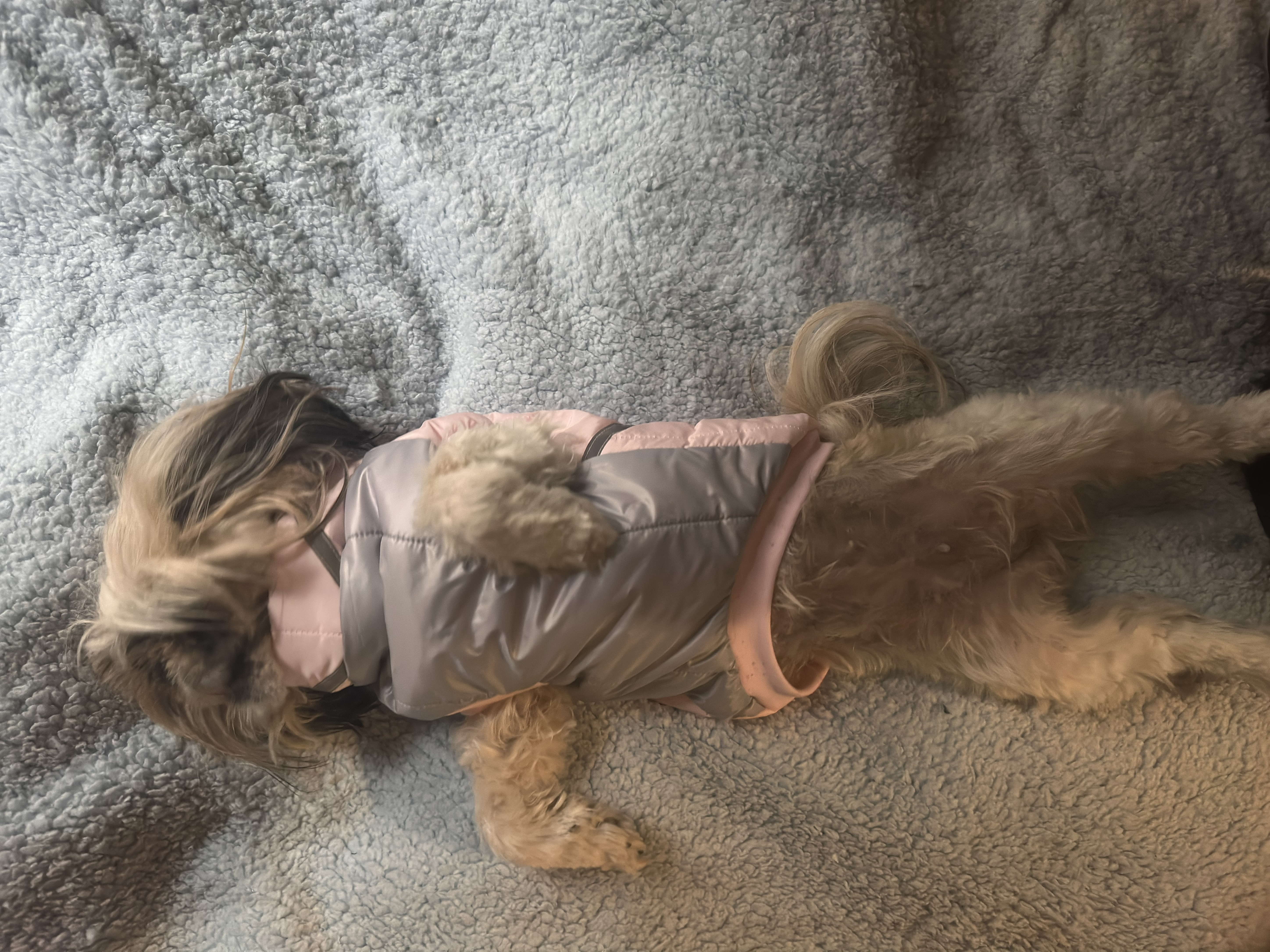 Kurtka zimowa miniatura 2