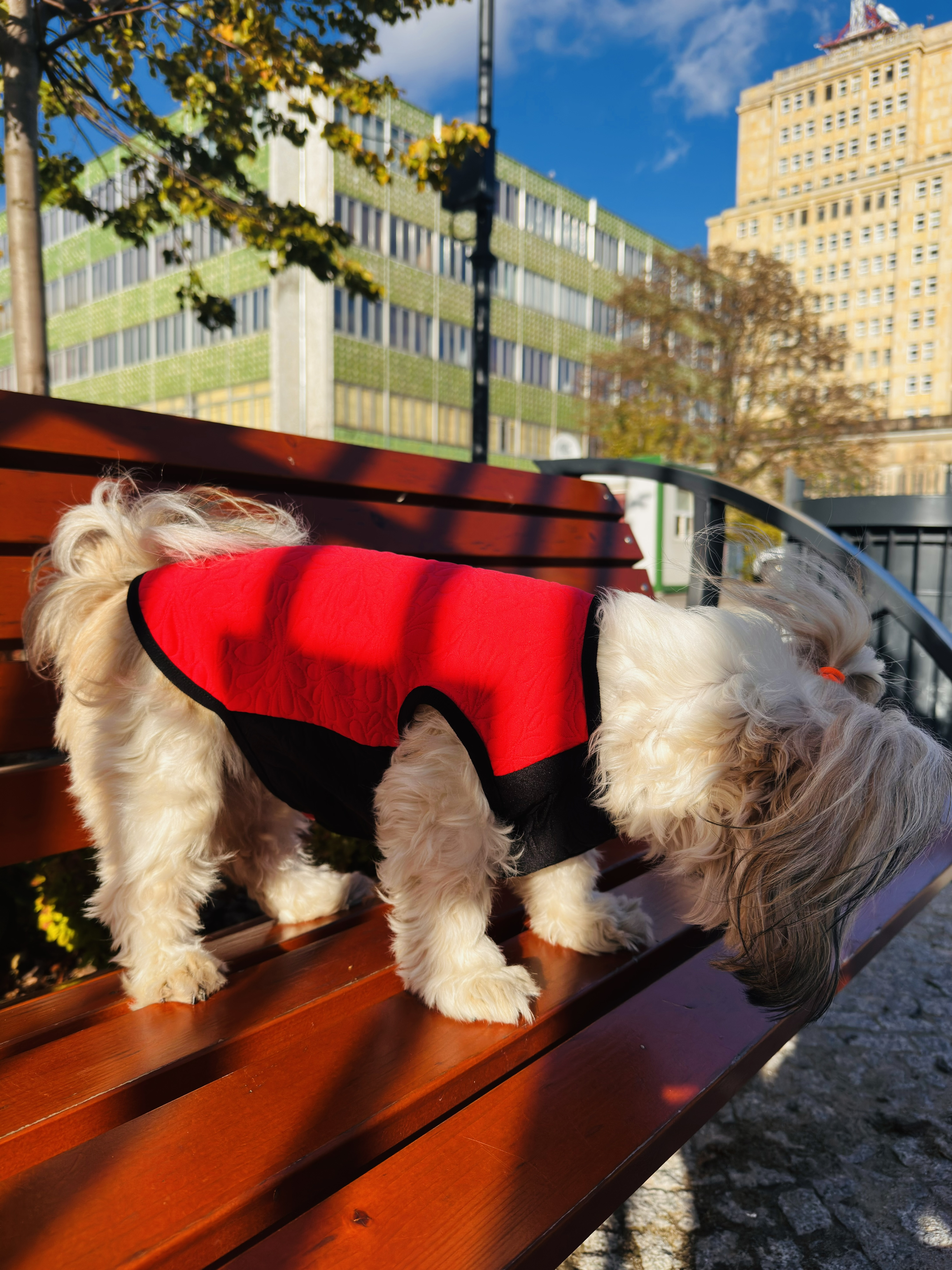 Pullover z pikowanej dzianiny